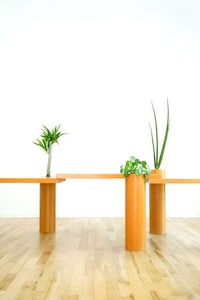 Plant-Friendly Tabletops Image 3