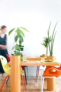 Plant-Friendly Tabletops Image 6