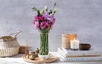 Minimalistic Vase Convertors Image 1