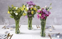 Minimalistic Vase Convertors Image 2