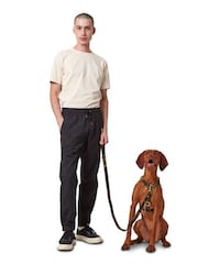 Long-Lasting Dog Accessories