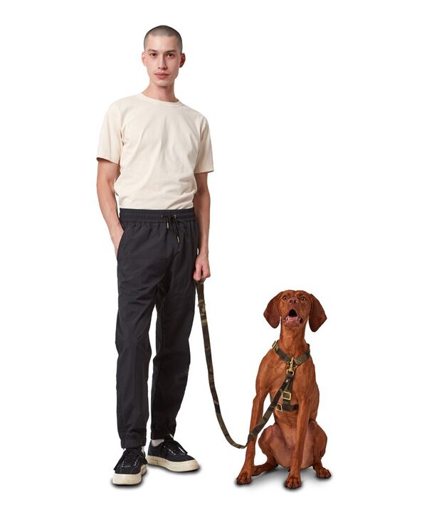 Long-Lasting Dog Accessories