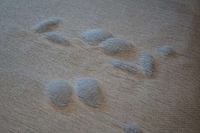 Acupressure Healing Rugs Image 4