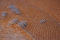 Acupressure Healing Rugs Image 6