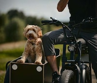 Aftermarket Cyclist Sidecar Carriers Image 3