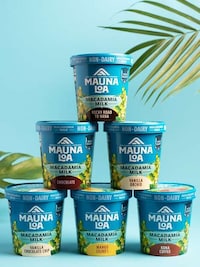 Macadamia Milk Ice Creams Image 1