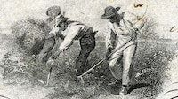 History-Recounting Animated Videos Image 2