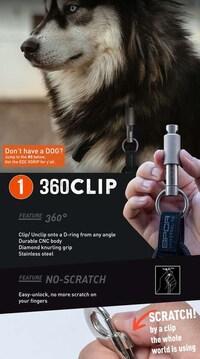 Carabiner-Style Dog Leashes Image 2