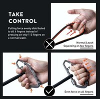 Carabiner-Style Dog Leashes Image 5