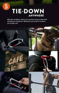 Carabiner-Style Dog Leashes Image 8