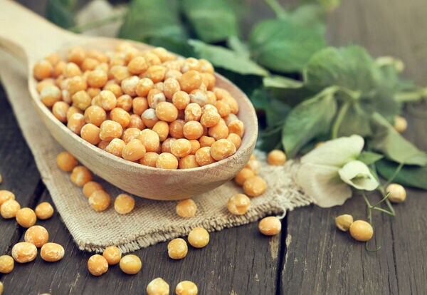 Pea-Based Protein Partnerships