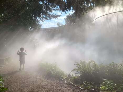 Mystical Immersive Art Installations