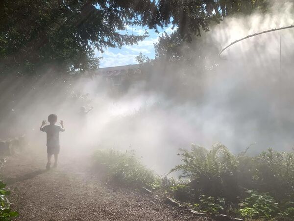 Mystical Immersive Art Installations