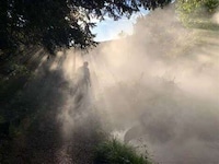 Mystical Immersive Art Installations Image 3