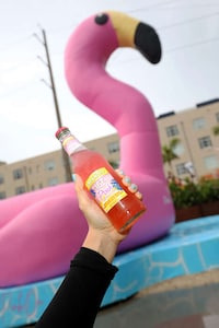 Pop-Up Lemonade Stands Image 3