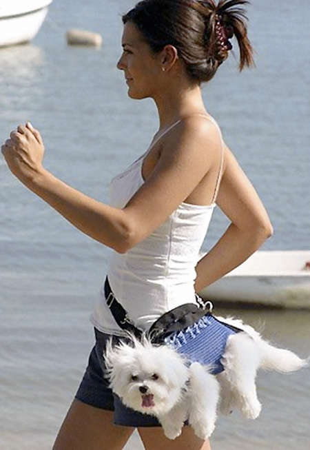 Wearing Dogs