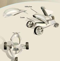 Baby Beach Buggies Image 3