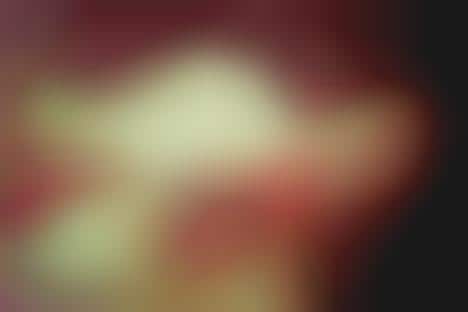 Reflexology Photography