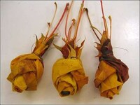 Foliage Flowers Image 4