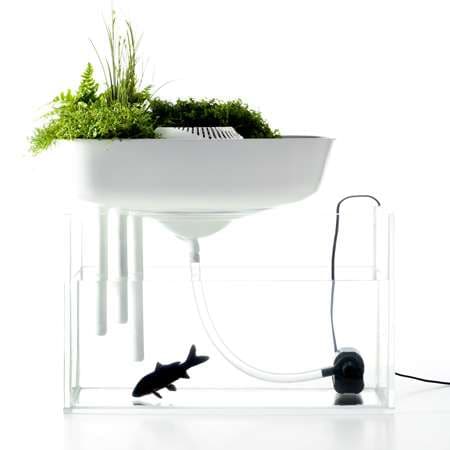 Pet Water Purifiers