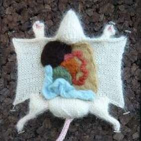 80 Kickass Knitting Creations