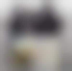 Thief Photo Posting