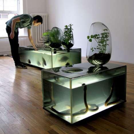 29 Amazing Aquariums