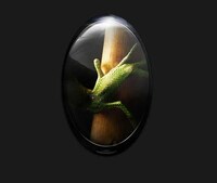 Pebble-Shaped Phones Image 5