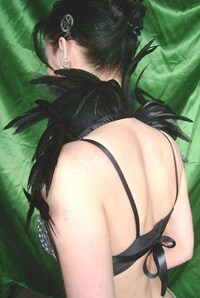 Feather Collars Image 3