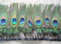 Feather Collars Image 8