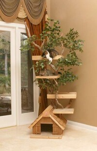 Treehouses for Cats Image 2