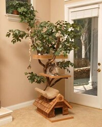 Treehouses for Cats Image 3
