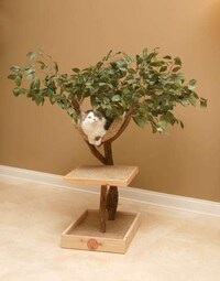 Treehouses for Cats Image 4