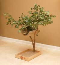 Treehouses for Cats Image 5