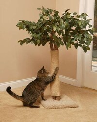 Treehouses for Cats Image 6