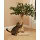 Treehouses for Cats Image 6