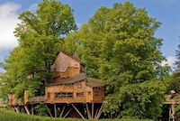 Treetop Castles Image 2