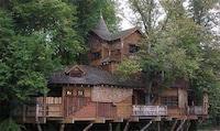 Treetop Castles Image 3