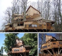 Treetop Castles Image 4