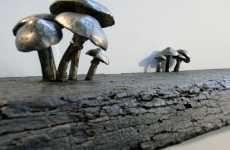 Fungus Shelves