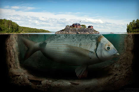 Floating Fish Islands
