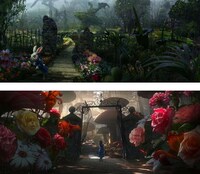 Evolving Illustrations Image 7
