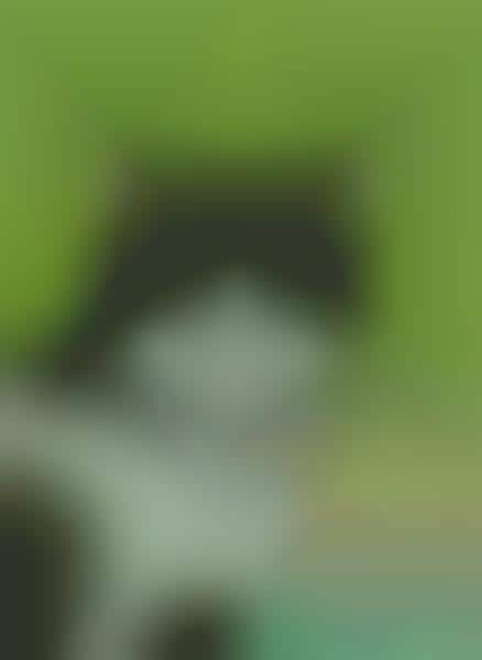 Conceptual Catography