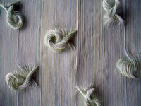 Stringy Hair Art Image 7