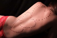 Studded Body Canvases Image 2