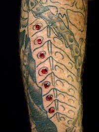Studded Body Canvases Image 3