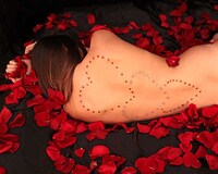 Studded Body Canvases Image 4