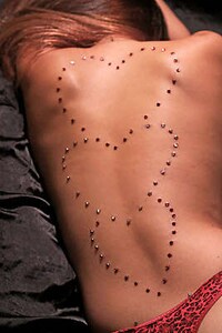 Studded Body Canvases Image 5