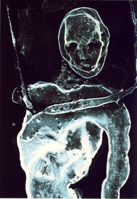 Freaky Photograms Image 2