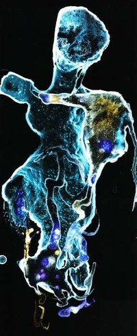 Freaky Photograms Image 6